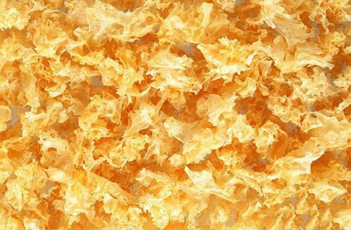 圖片1.jpg 圖片1.jpg