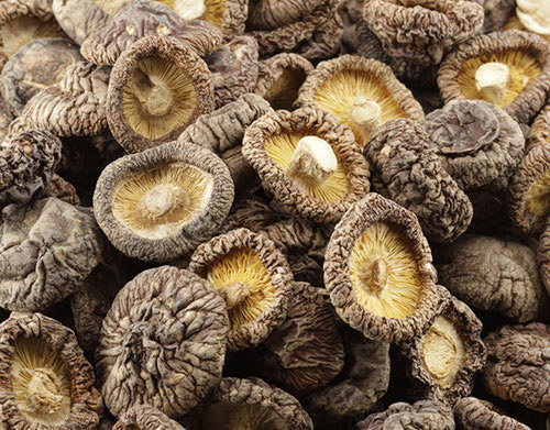 圖片1.jpg 圖片1.jpg