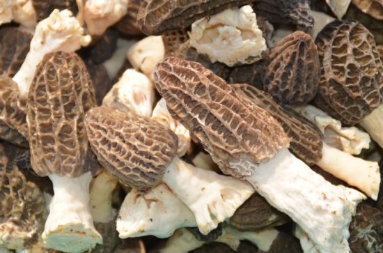 圖片1.jpg 圖片1.jpg